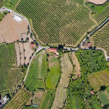 Casa Vinhas Camelias De Bastoturismo Rural Celorico De Basto