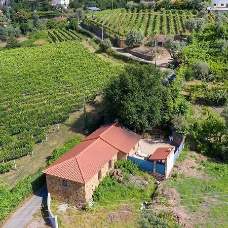 Casa Vinhas Camelias De Bastoturismo Rural