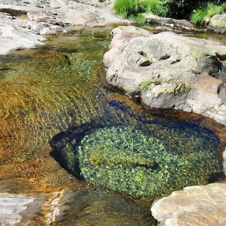 Casa Vinhas Camelias De Bastoturismo Rural