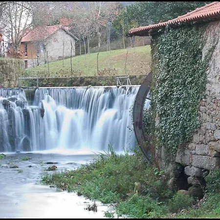 Casa Vinhas Camelias De Bastoturismo Rural