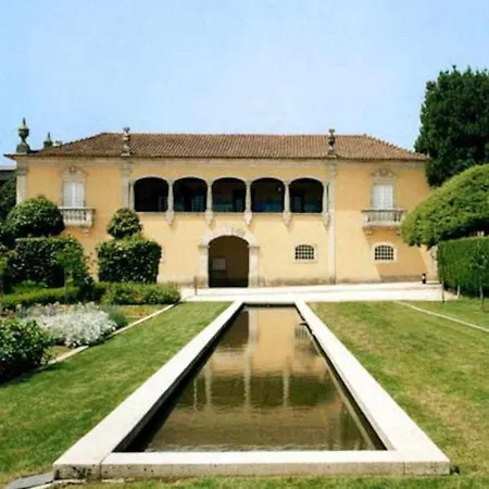 Casa Vinhas Camelias De Bastoturismo Rural * Celorico De Basto