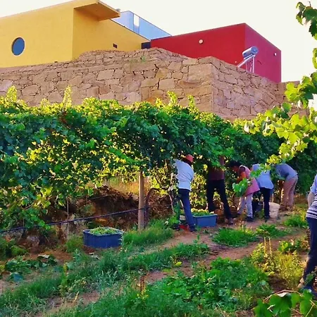 Prázdninový dům Casa Vinhas Camelias De Bastoturismo Rural *