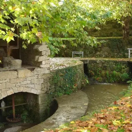 Casa Vinhas Camelias De Bastoturismo Rural *