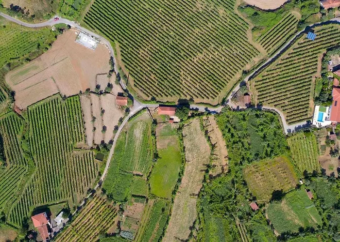 Casa Vinhas Camelias De Bastoturismo Rural Celorico De Basto