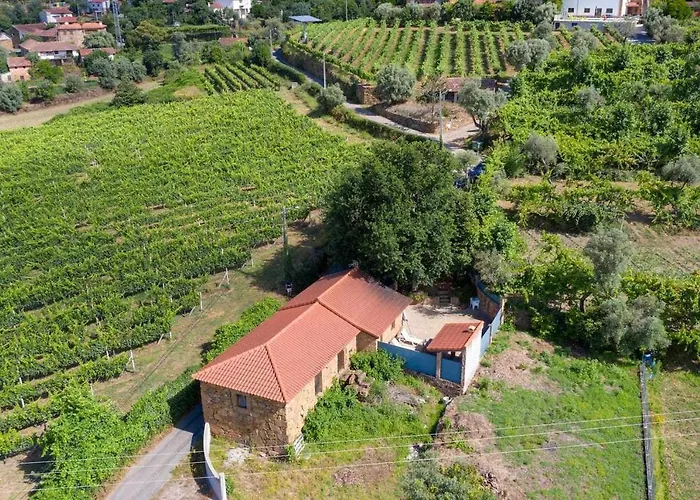 Casa Vinhas Camelias De Bastoturismo Rural