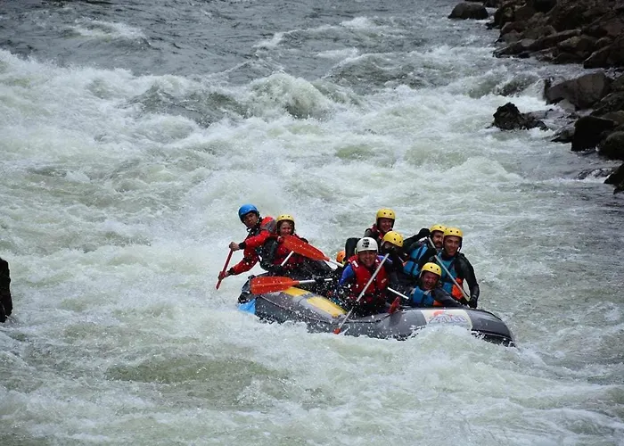 Casa Vinhas Camelias De Bastoturismo Rural Feriehus