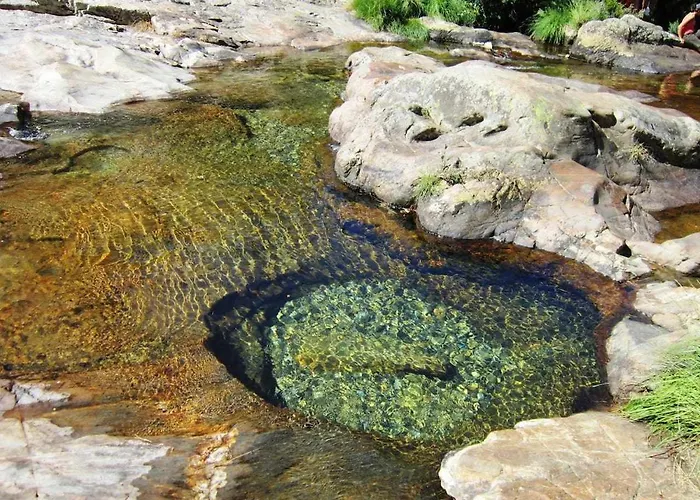 Casa Vinhas Camelias De Bastoturismo Rural