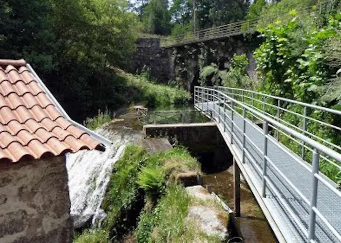 Casa Vinhas Camelias De Bastoturismo Rural Feriehus Celorico De Basto