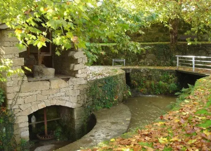 Casa Vinhas Camelias De Bastoturismo Rural *